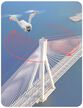 Dron V-type gimbal 2.7K GPS 2-kamery aplikacja WiFi torba (14)
