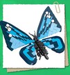 klocki MOTYL 245-klocki 22cm zamiennik TECHNIC (5)